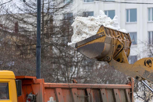 Kaip pasirinkti patikimą servisą fūristams: Ką reikia žinoti?