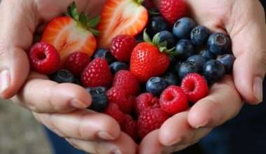 berries gut saving daily handful