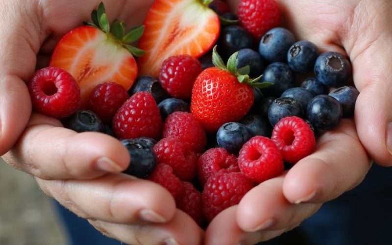 berries gut saving daily handful