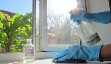 eco friendly natural degreasing streak free cleaning solution