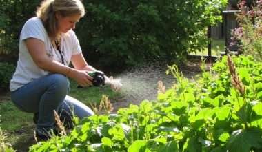 organic pest control gardening techniques