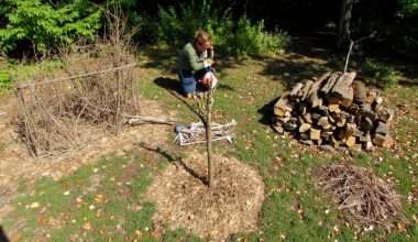 utilize pruned branches resourcefully