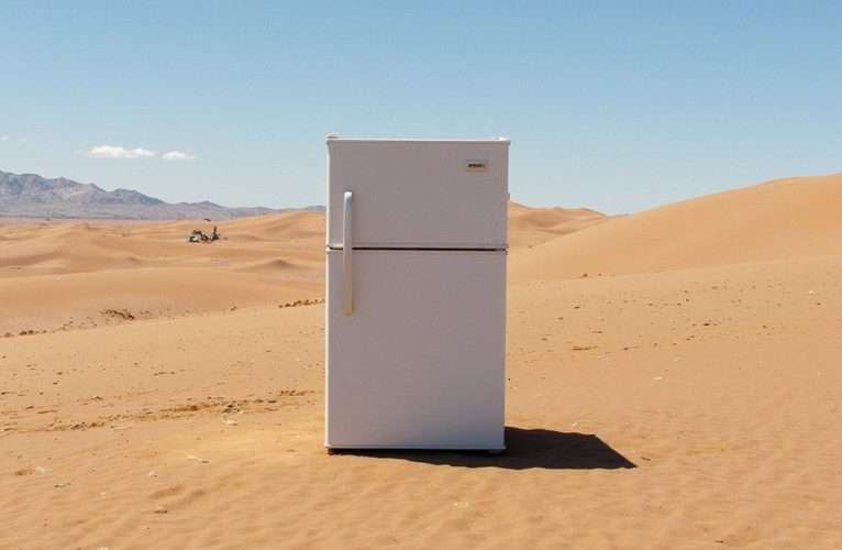 viral refrigerator in desert instagram