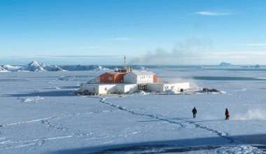 Antarktida samdo 2026 m. darbuotojus