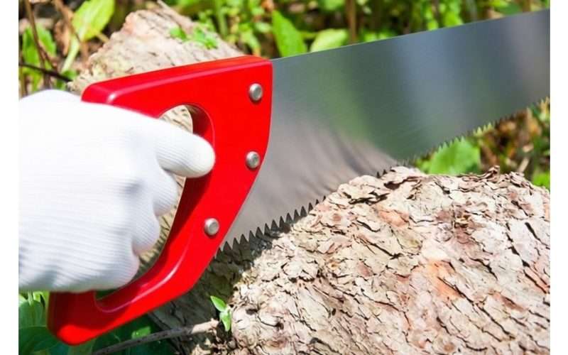 pagaląsti medžio pjūklo ašmenis iki skustuvo aštrumo